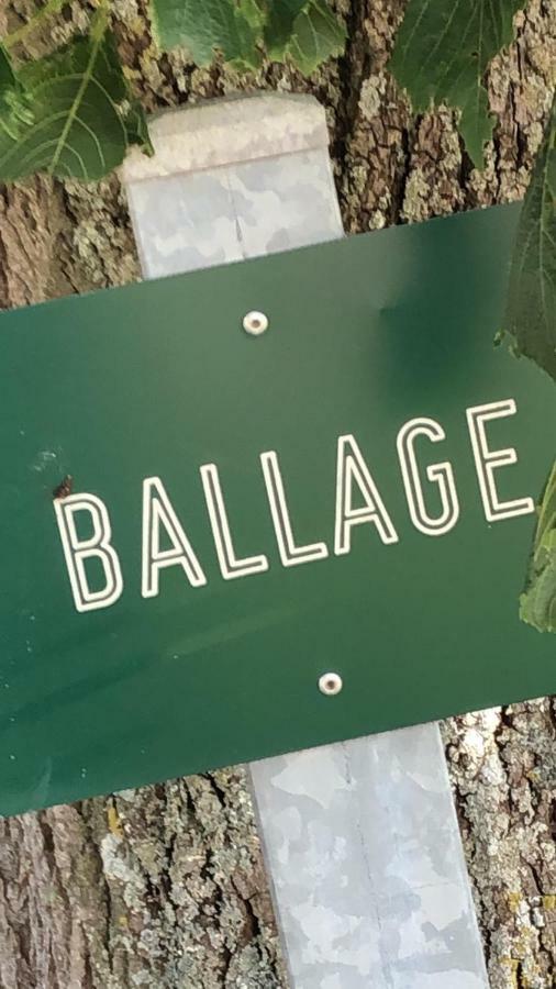 Le Gite De Ballage Chemille-Sur-Deme Exterior foto