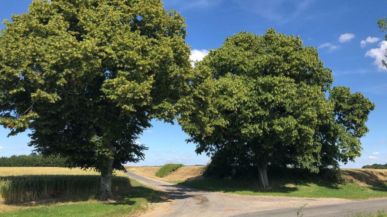 Le Gite De Ballage Chemille-Sur-Deme Exterior foto